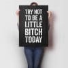 Try Not To Be A Little Bitch Today A1